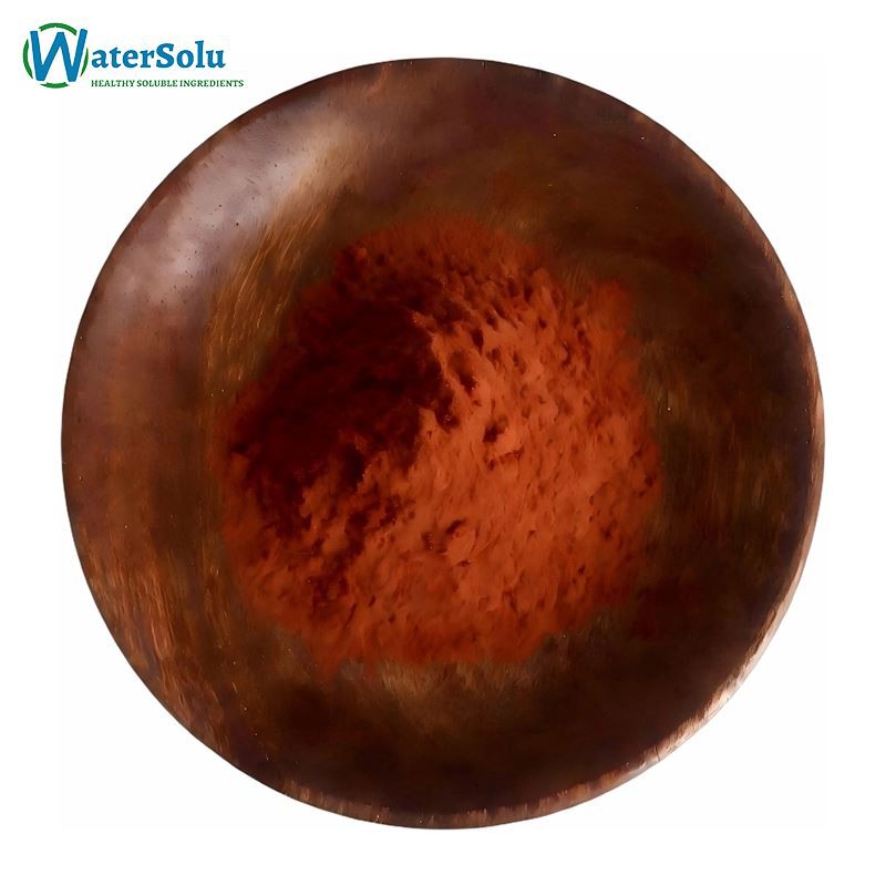 Best Pine Bark Extract