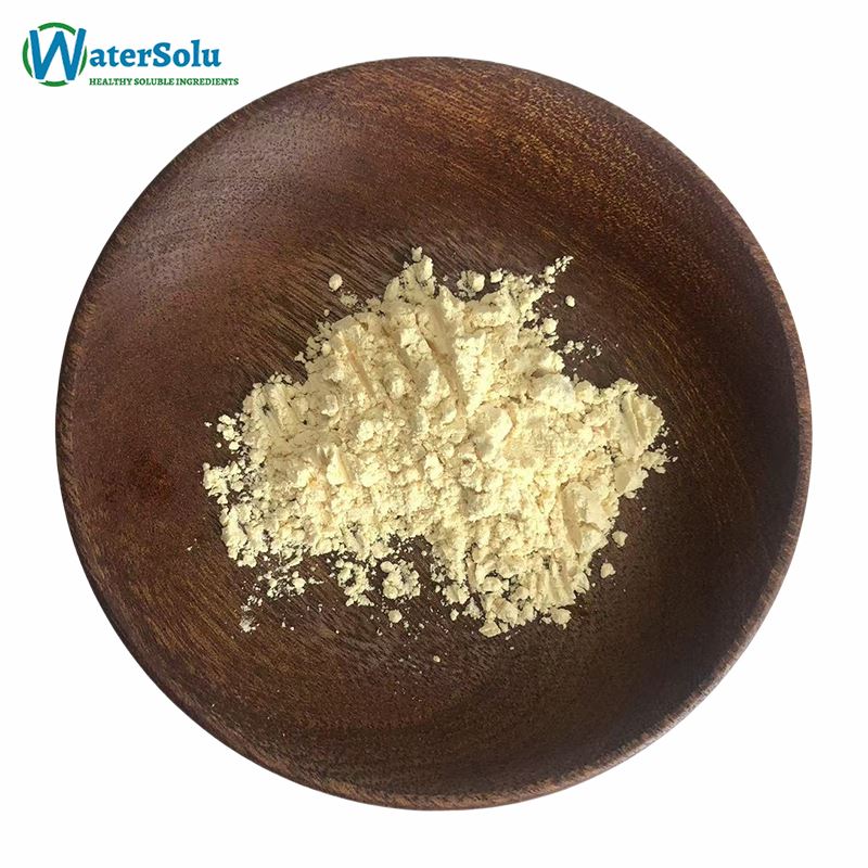 Olive Leaf Extract Powder