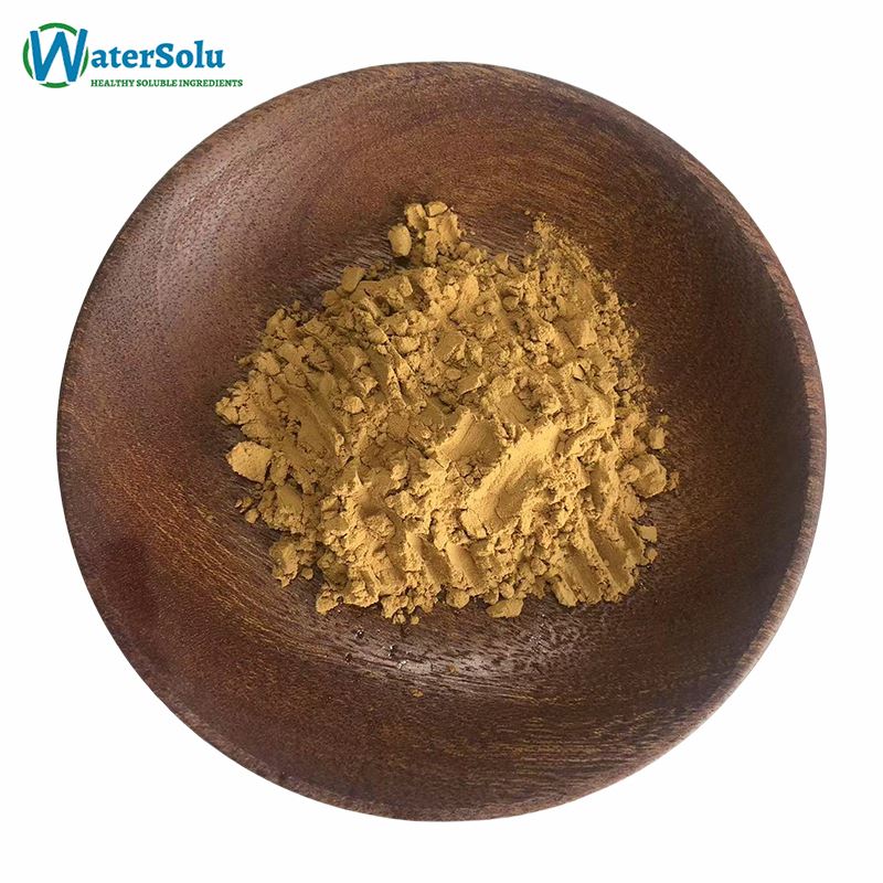 Salvia Miltiorrhiza Extract